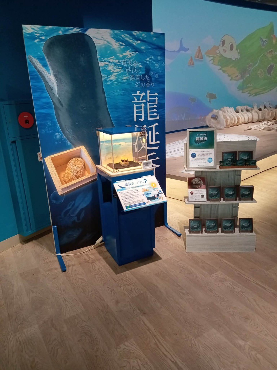 展示館ディスプレイ
