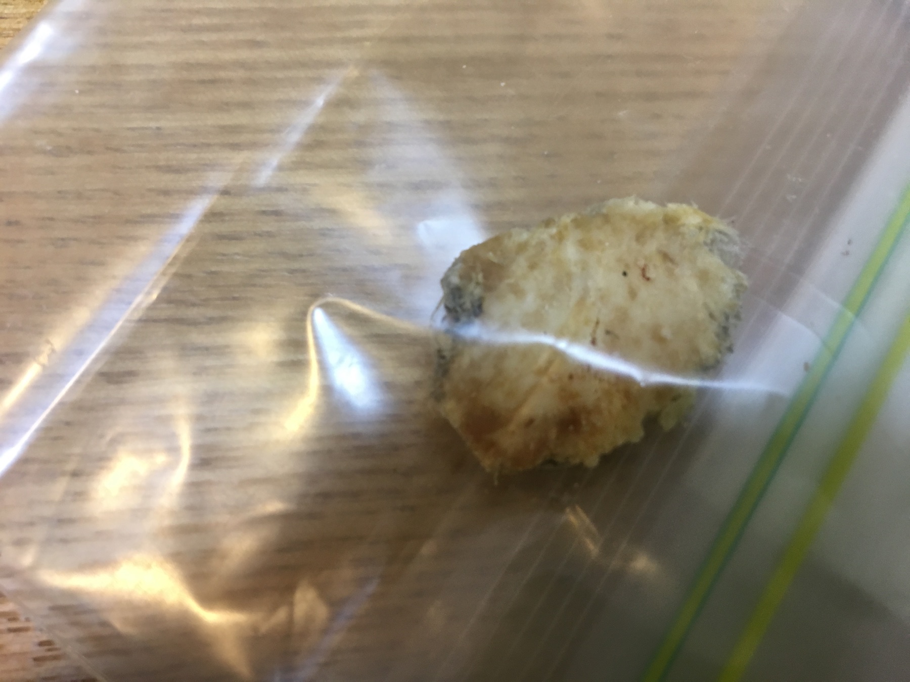 龍涎香かもしれないものとして送られてきた欠片